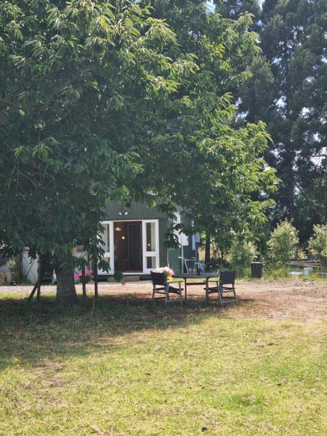 Ace B N B Bed and Breakfast Kerikeri Εξωτερικό φωτογραφία